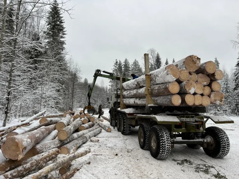 О заготовке зимнего леса - стоит поторопиться!