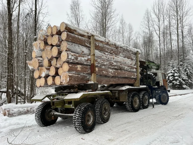 О заготовке зимнего леса - стоит поторопиться!