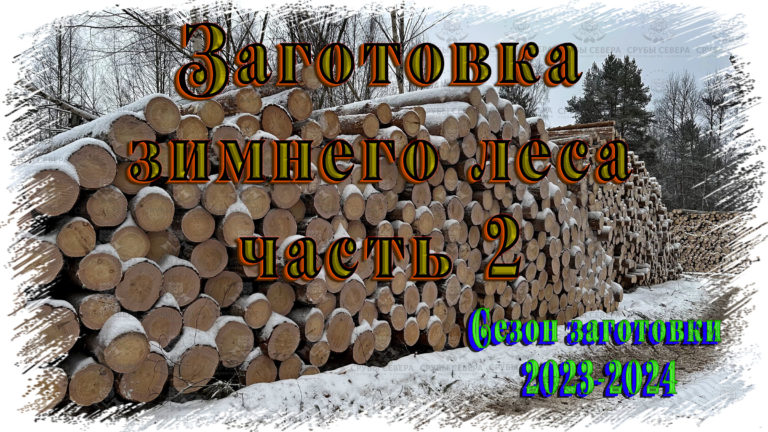 Заготовка зимнего леса сезон 2023-2024 часть 2